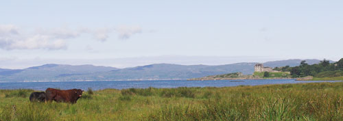 Scottish Scene