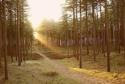 living in God's world
