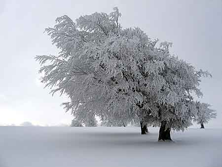 winter solstice